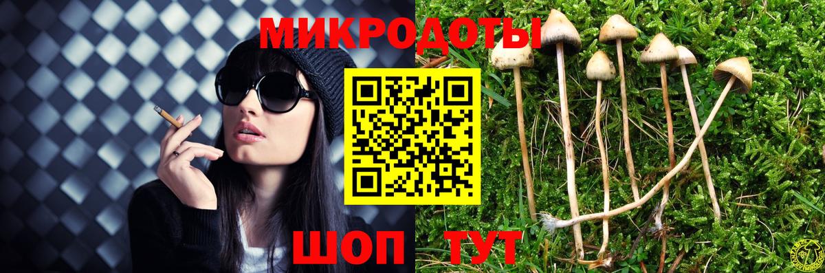Галлюциногенные грибы мухоморы Тобольск